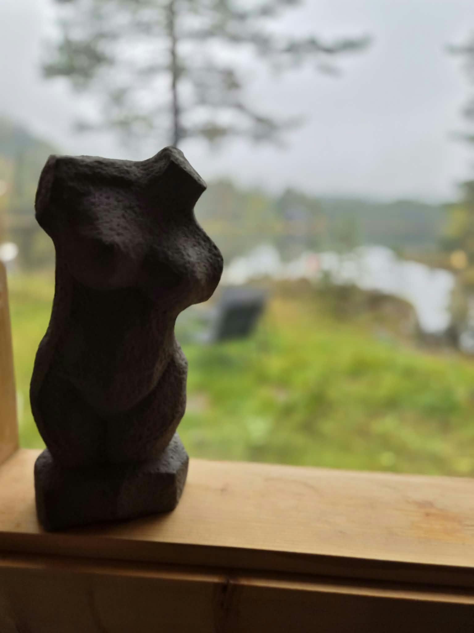 Utsikt fra SKOGDIS SAUNA